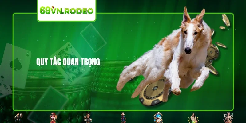 Quy tắc quan trọng