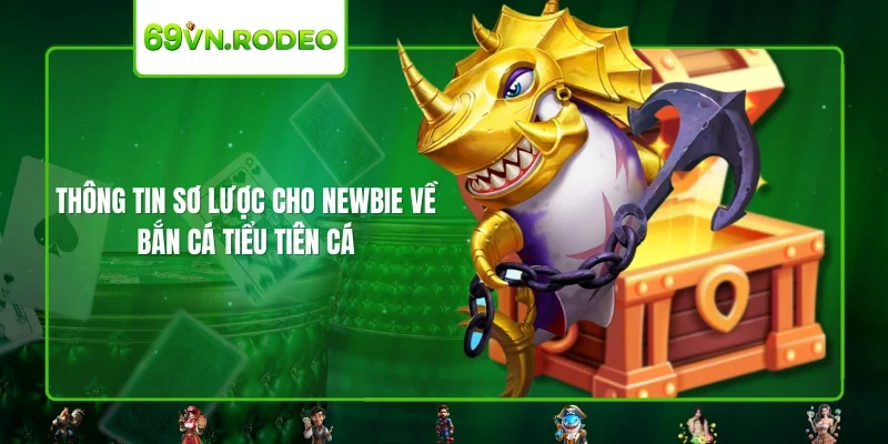 Thông tin sơ lược cho newbie về bắn cá tiểu tiên cá Thông tin sơ lược cho newbie về bắn cá tiểu tiên cá